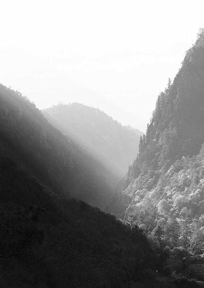 Radar 424 — Edição 100