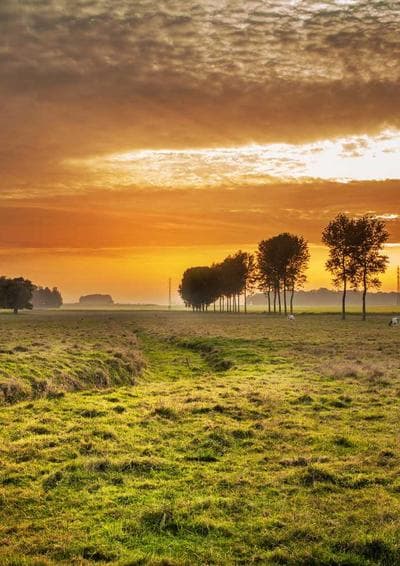 Radar 424 — Edição 98