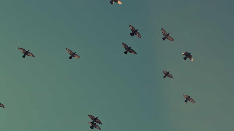 Operação policial resulta em apreensão de drogas no centro da cidade