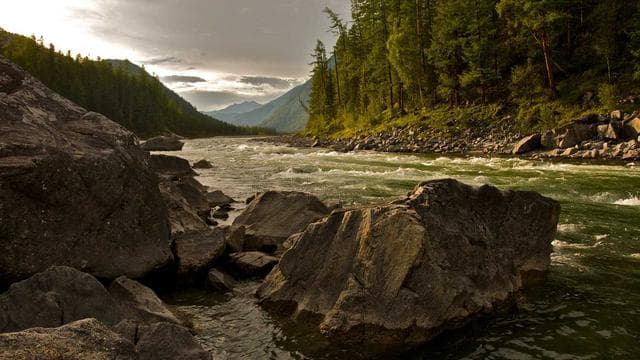 Cobertura do Festival Regional 2025